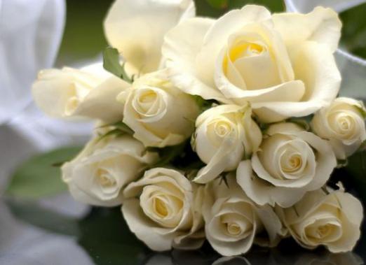 Prečo snívať o bielych ružiach?