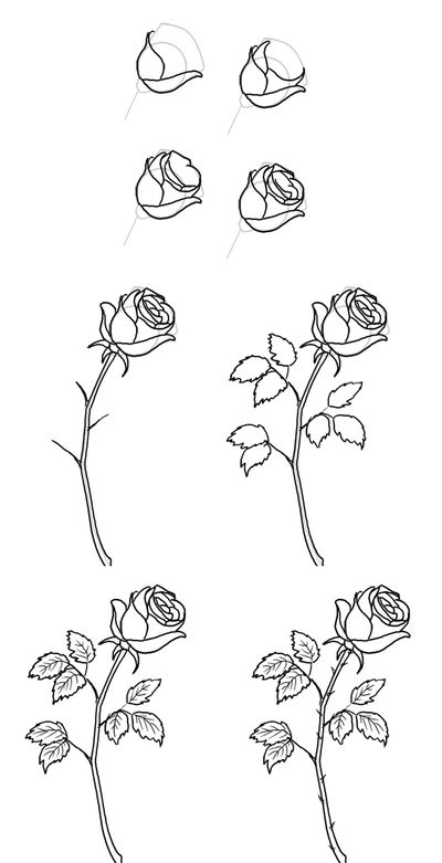 Ako nakresliť ružičku v ceruzke?