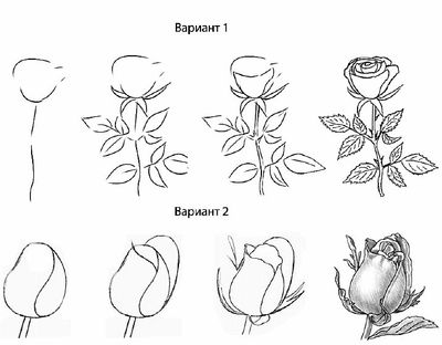 Ako nakresliť ružu s ceruzkou?